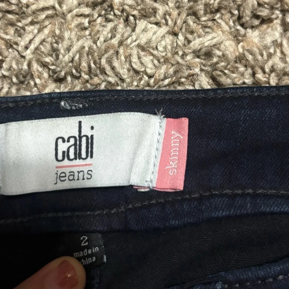 CAbi chic dark